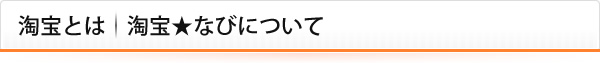 たおばお★ナビについて